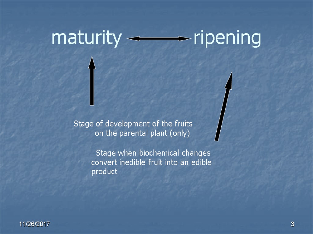 maturity ripening Stage of development of the fruits on the parental plant (only) Stage maturity ripening Stage of development of the fruits on the parental plant (only) Stage